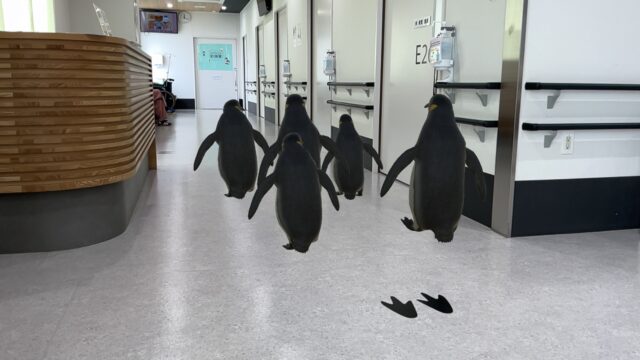 近大病院に「ARどうぶつえん」